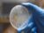 MICROBIAL CULTURE