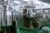 SPECIALITY CHEMICALS